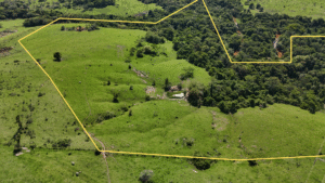 Sítio a venda de 6.5 alqueires paulista, abundância em água – Porangaba/SP